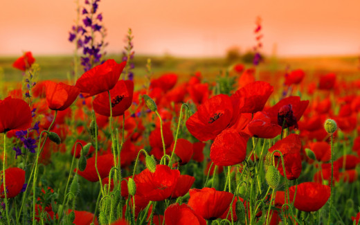 1719936 (a): :2880x1800